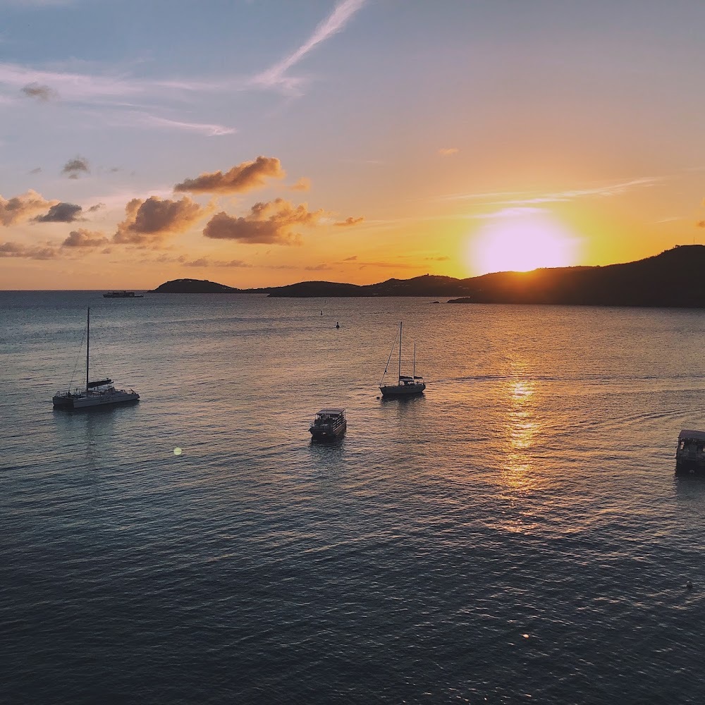 Meet your Posher, Zoe